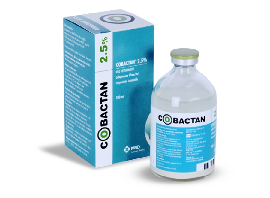 Cobactan 2.5% Suspensión x 100 ml — MSD Salud Animal